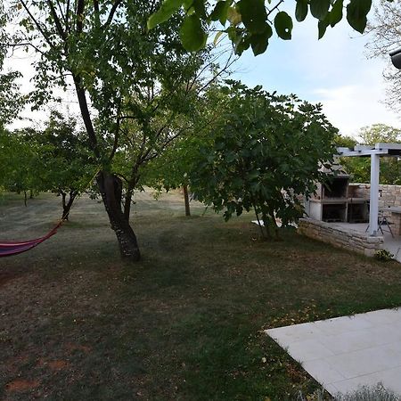 Holiday Home Brhanici Svetvincenat Exterior photo